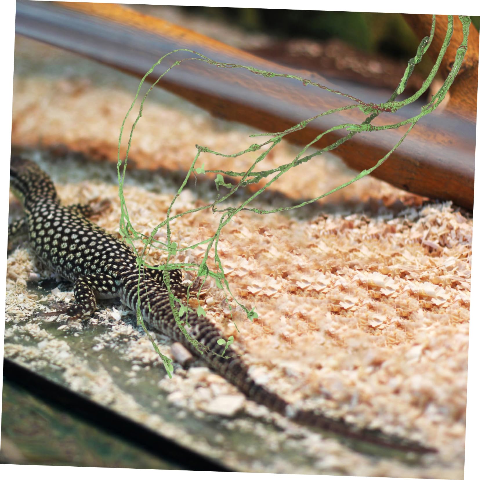 BESPORTBLE Vite Rampicanti Finte per Rettili Decorazione per Terrario Ornamento Vite per Acquario Accessorio per Rettili Piante Rampicanti Artificiali per Uso Domestico Forniture