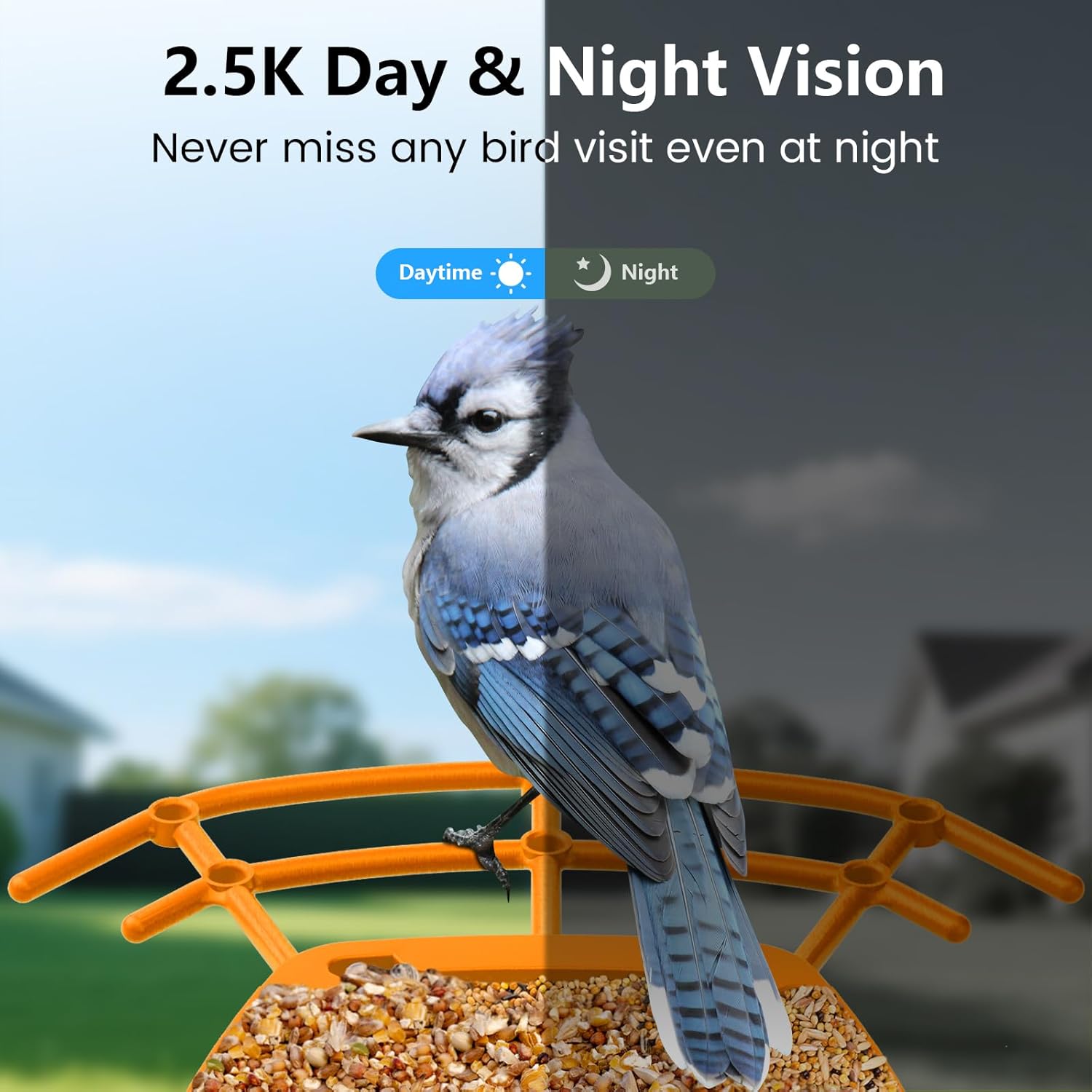 Smart Bird Feeder with Camera for Outdoors Solar Powered, 2.5K HD Video, AI Bird Species Identification, Instant Arrival Alerts,Wireless 2.4Ghz WiFi,Include 32GB SD Card,Ideal Gift (Orange) - Image 3