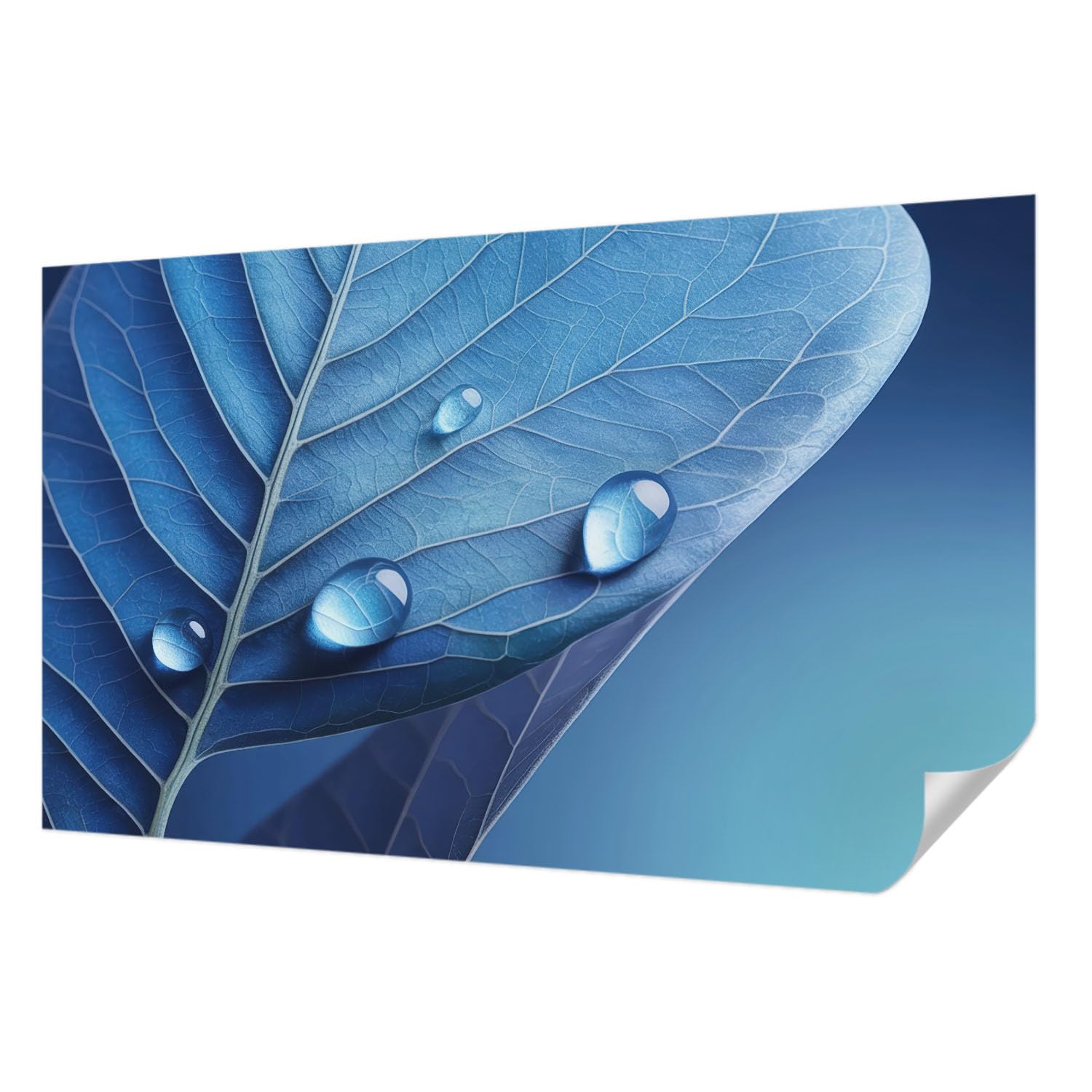 Papier Peint Autocollant Tulup Feuille Bleue pour une Chambre Cocooning