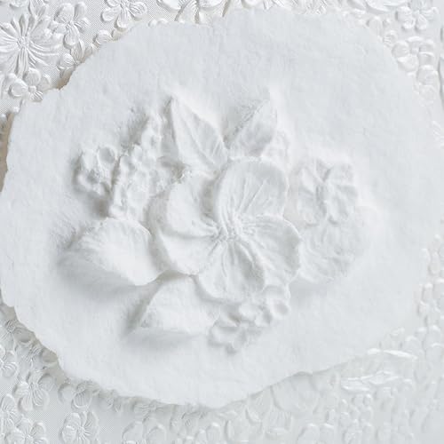 Miniatura 9 de The Favorite Place - Urna de entierro (carcasa en niebla, pequeña), biodegradable para entierro en tierra, dispersión de cenizas cremadas en urna