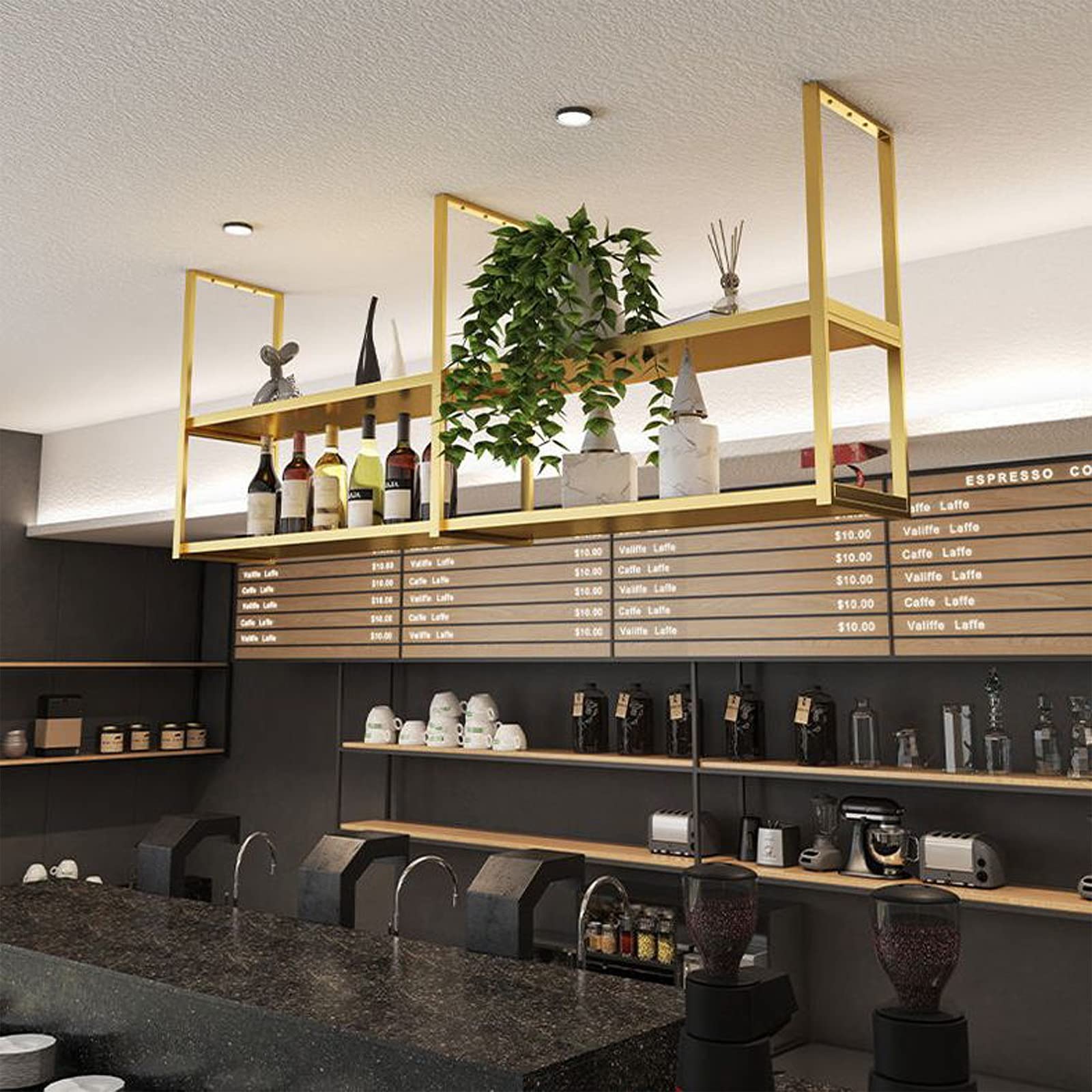 Étagère de présentation pour fleurs et bouteilles : support de plafond suspendu en métal à 2 couches