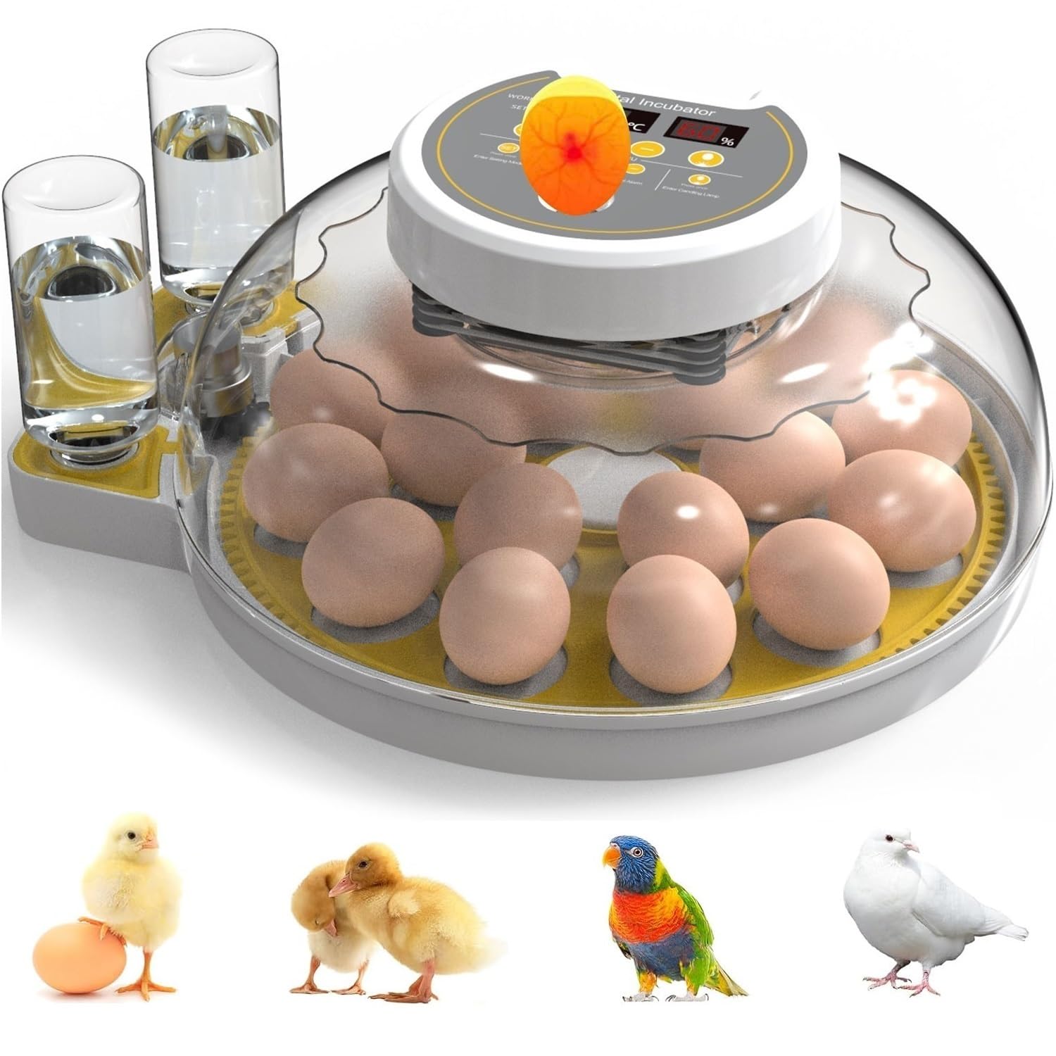 Buy Chicken Egg Incubator for Hatching 1860 Eggs Automatic Turning