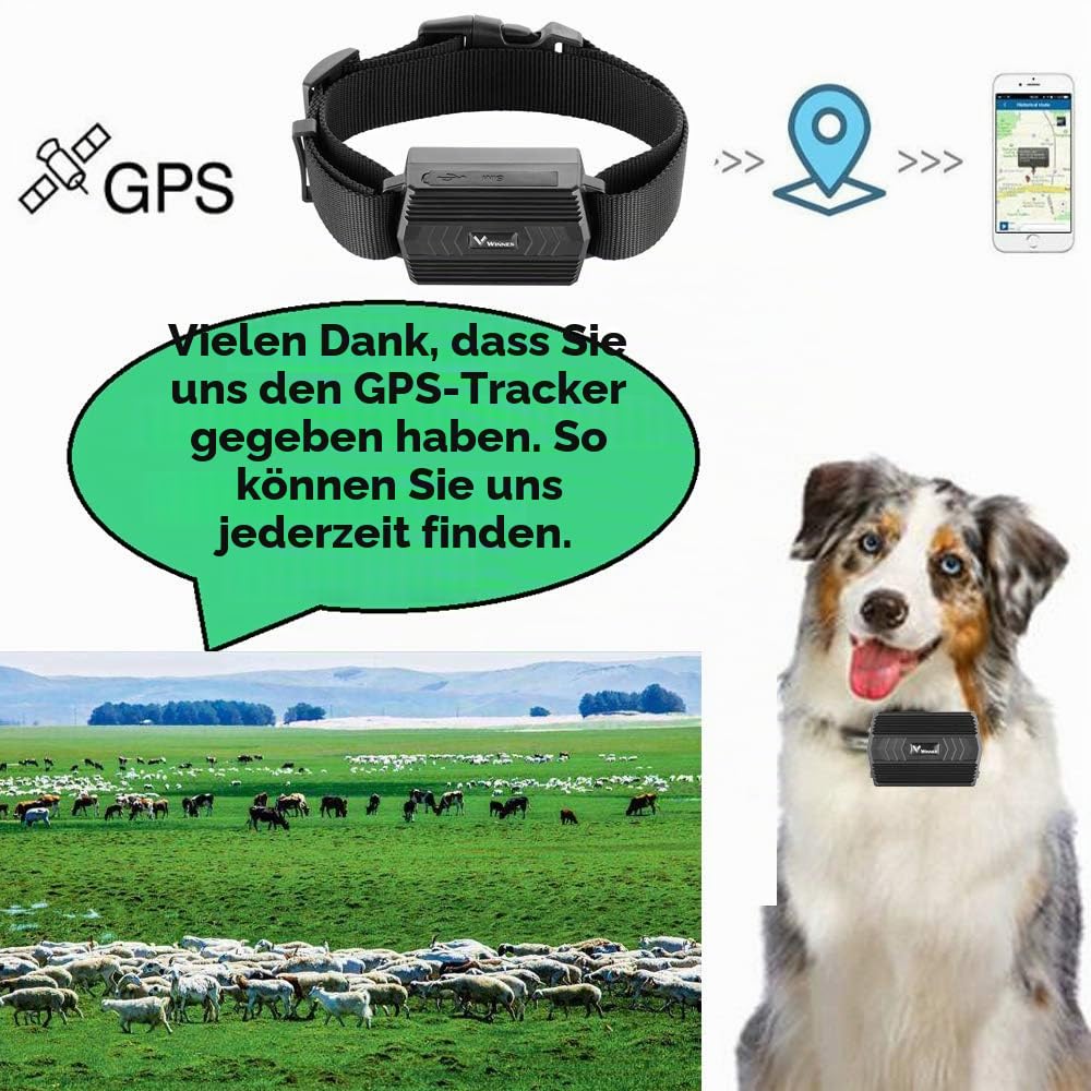 4G GPS Tracker Tier mit Halsband, 3000mAh Wasserdicht Rinder Schaf GPS-Tracker Weiden Anti Verloren GPS Tracking Geräte