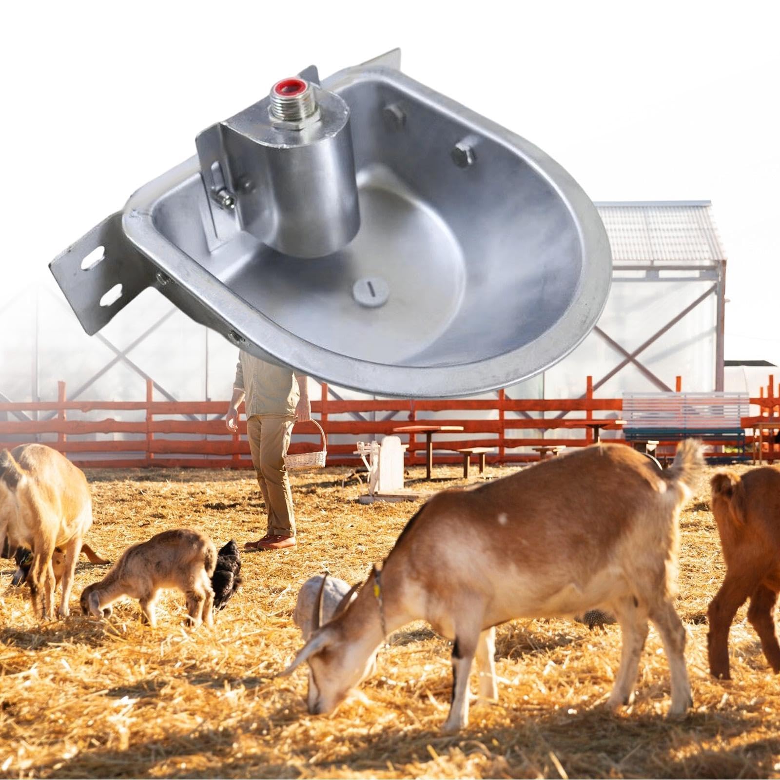 Fontana per abbeveratoio Automatica per Pecore, distributore Automatico di Acqua per bovini, maialini, vitelli, Prato, con Foro di Scarico