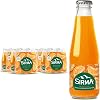 Sırma Vitamin C Tangerine Flavored Natural Mineral Water (24x200 ml)