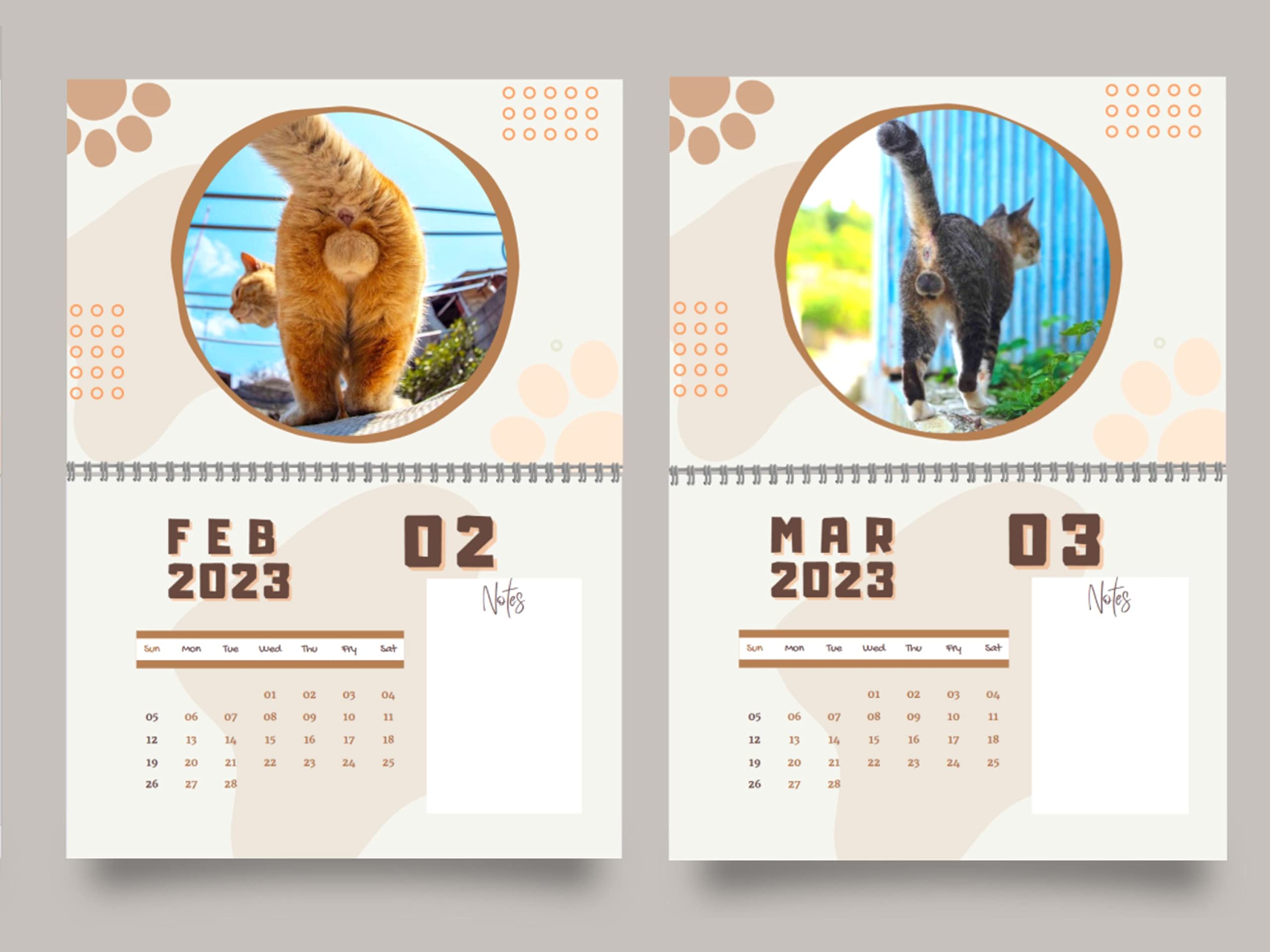 amazon-com-cat-butthole-calendar-2023-17-x-11-inches-funny-12-month-balls-with-room-for-notes-sturdy-glossy-pages-on-metal-ring-whimsical-and-fun-pictures-grey-white-light-pink-office-products