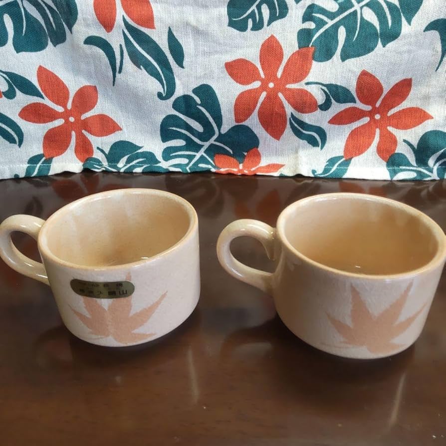 萩焼　極稀模様入りコーヒーカップ　天鵬山作　ペア 萩焼 椿窯 天鵬山造 箱入 珈琲碗 コーヒーカップ&ソーサー 2客