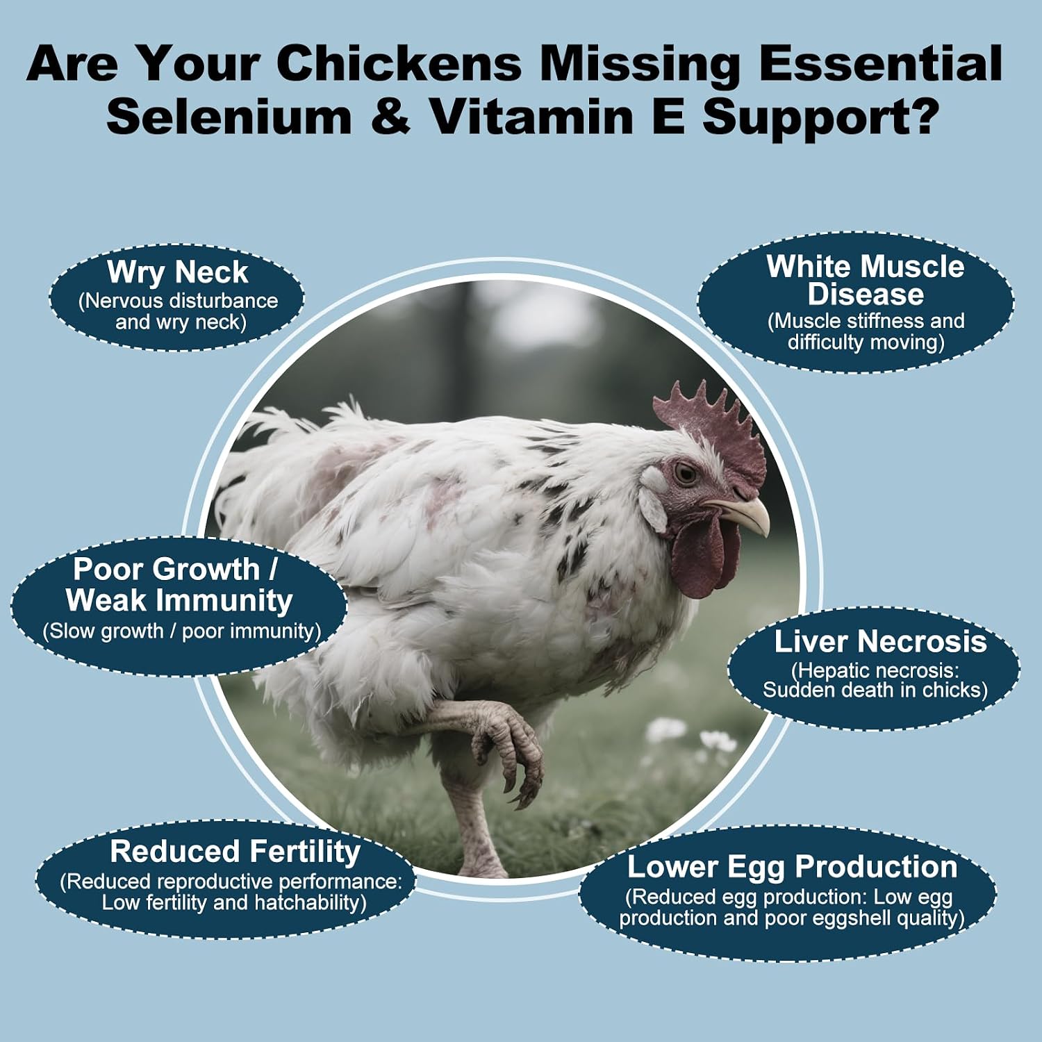 E+S Poultry Vitality Formula | Selenium for Chickens and All Poultry | Nutrient Support Liquid for Energy Balance and Mobility | Feed Mix Additive for Healthy Growth,3.4 fl oz