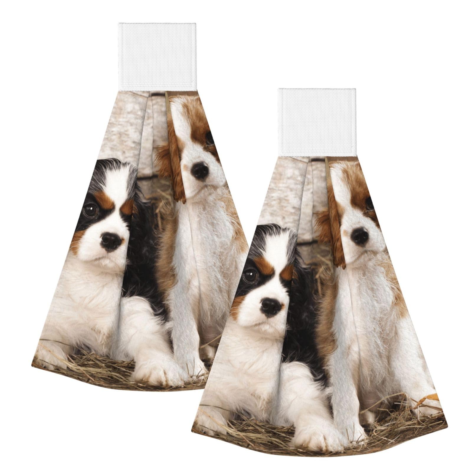 DOPKLNA Cavalier King Charles Spaniel Small Puppies, 2 Pcs Hanging Coral Fiber Hand Towels for Bathroom, Absorbent Kitchen Towels