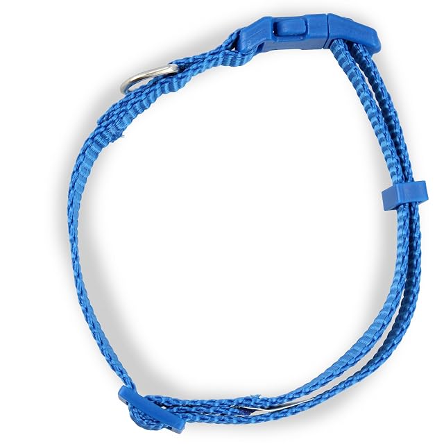 Foto 8 de 8 de Collar para Perro Cuello Perros Mascotas Cómodo Impermeable Fácil Limpiar Hebilla Liberación Rápida (XS-S