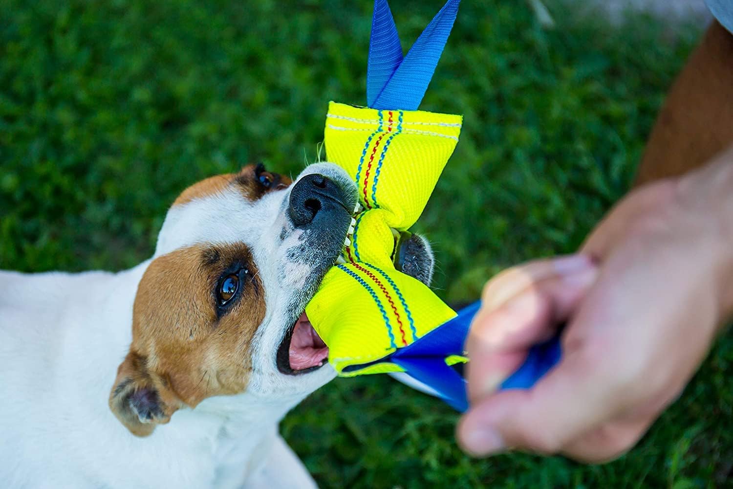 Unique Dog Bite Tug Toy 30 cm with 2 Strong Handles (2 pieces) - Extra Tough, Durable Firehouse Dog Tug for Medium To Large Dogs - Best for Tug of War, Puppy Training Interactive Play - Image 3