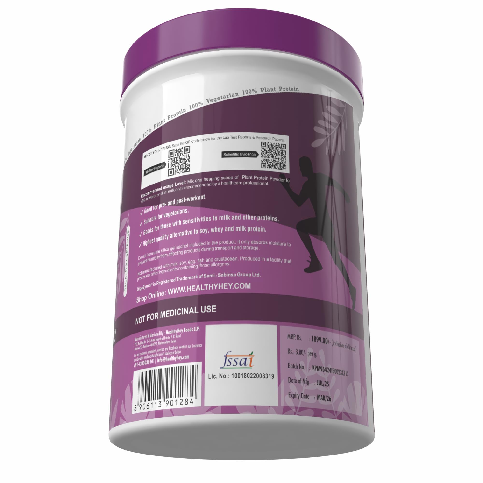 HealthyHey Nutrition Plant Protein Powder, Protein, Low Net Carbs, Non Dairy, Gluten Free, Lactose Free, No Sugar Added, Soy Free, Non-GMO - 500gm (Chocolate)