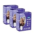 DIGNITY Overnight Pant Style Adult Diapers - L/XL (30 Pieces) With Wetness Indicator and Leakage Protection Upto 12-16 H