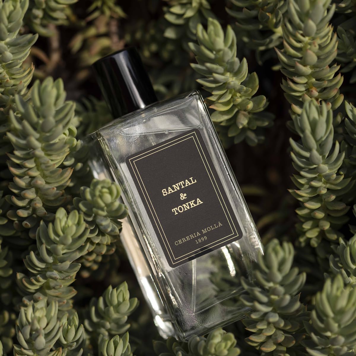 CERERÍA MOLLA 1899 | Room Spray & Body Mist Santal & Tonka | Para Perfumar tu Piel y Hogar | Frasco de Cristal con Difusor en Spray | 100 ml