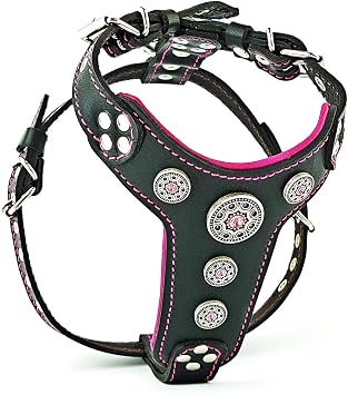 Bestia Bijou Studded Leather Dog Harness, Soft Padded, Small-Medium Dogs