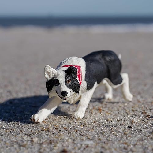 Miniatura 2 de Safari Ltd. Figura de Border Collie – Figura detallada de plástico de 5 pulgadas – Divertido juguete educativo para niños, niñas y niños a partir de