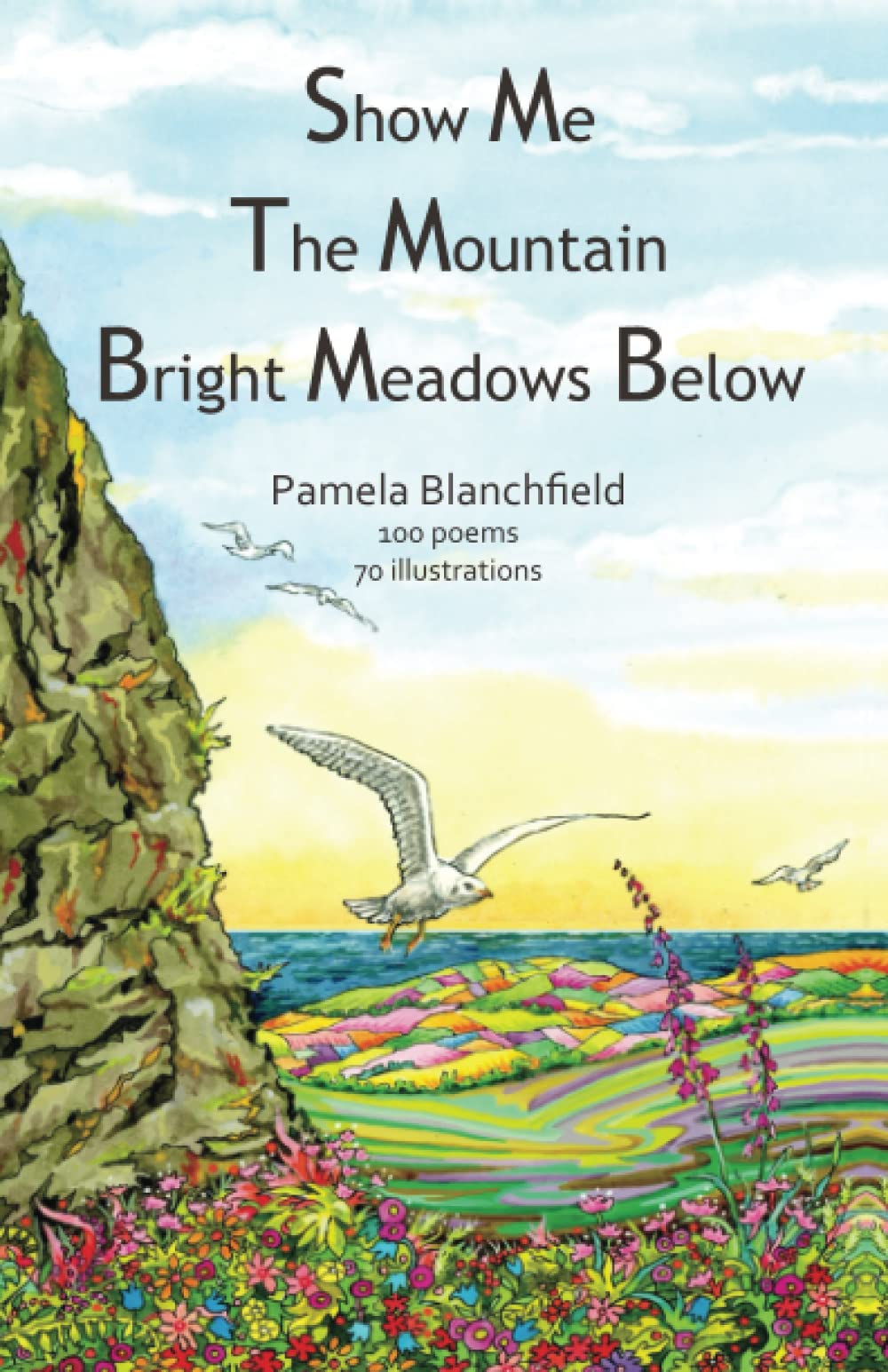Show Me The Mountain Bright Meadows Below
