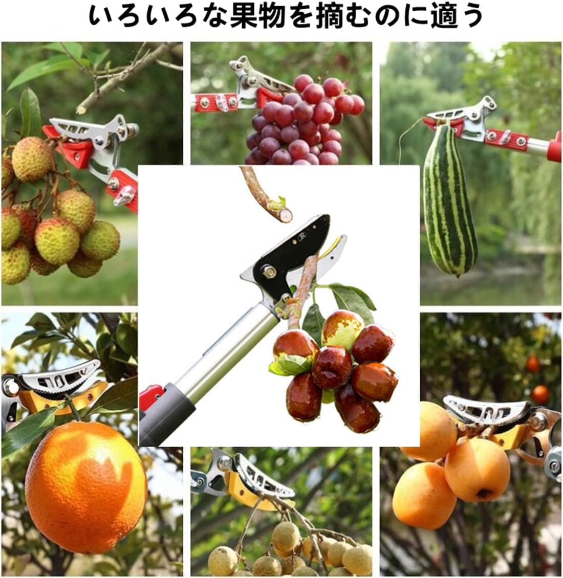 Amazon | Jiza 伸縮式高枝鋏 高枝切りばさみ フルーツピッカー 果物