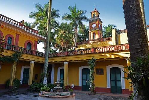 Miniatura 5 de 1888 Coffee Founder's Premium - Grano entero cultivado a sombra de origen único, 100% arábica, 12 onzas