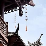 Chimes de vent de cuivre pour l'extérieur, Temple Chimes à vent 5 Bells Feng Shui Wind Bell Pendent Memorial Windchimes pour la maison jardin Patio Backyard Decor (Bronze)