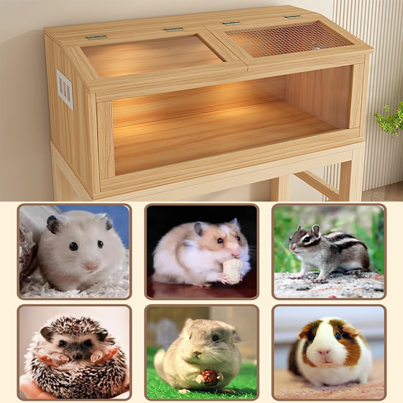 Rutin caja de comida para pollos, jaula para hámster, animales pequeños, fácil de montar y limpiar, hábitat para conejos y cobayas