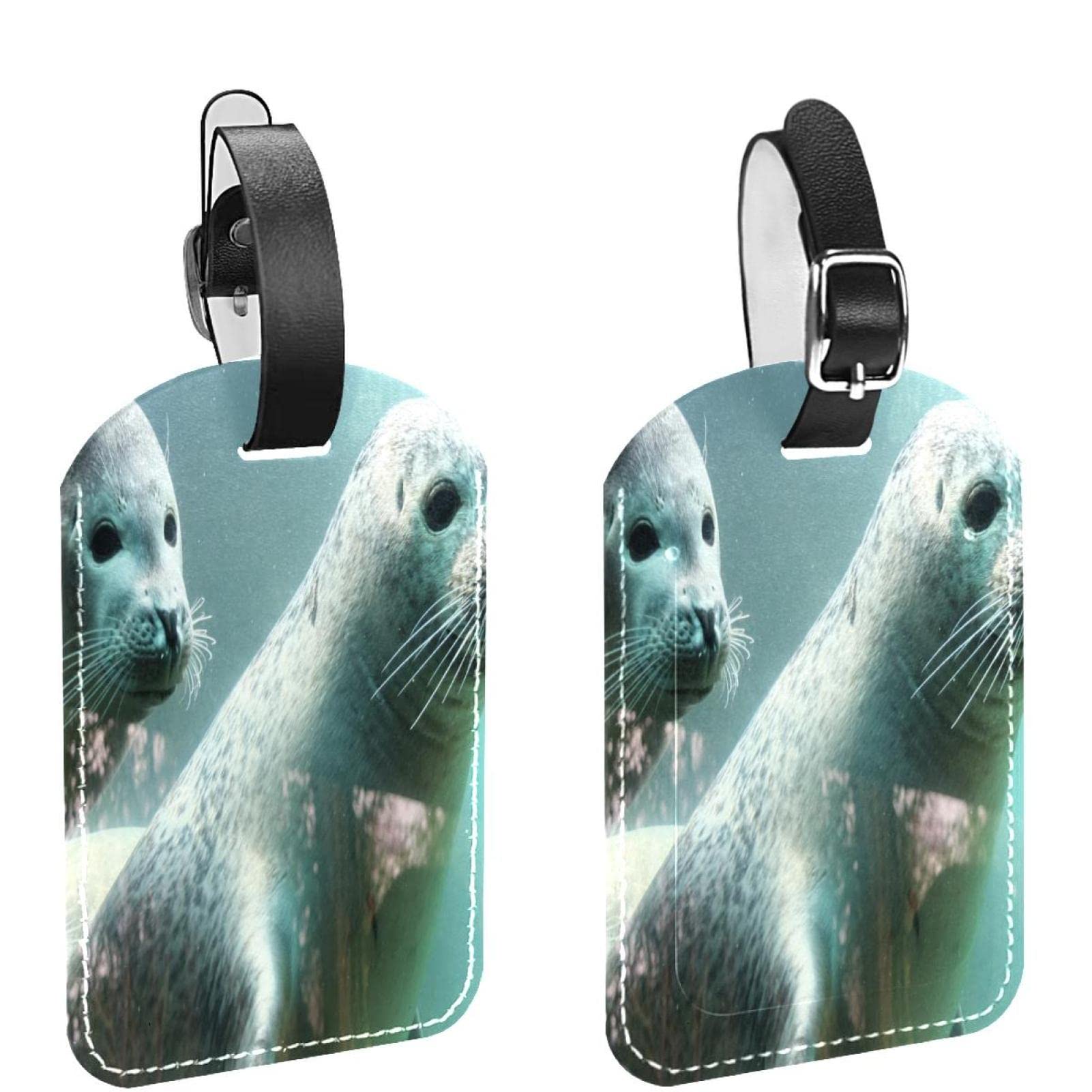 Amazon.co.jp: 荷物タグ、2 パック、海のアザラシの動物、荷物タグ