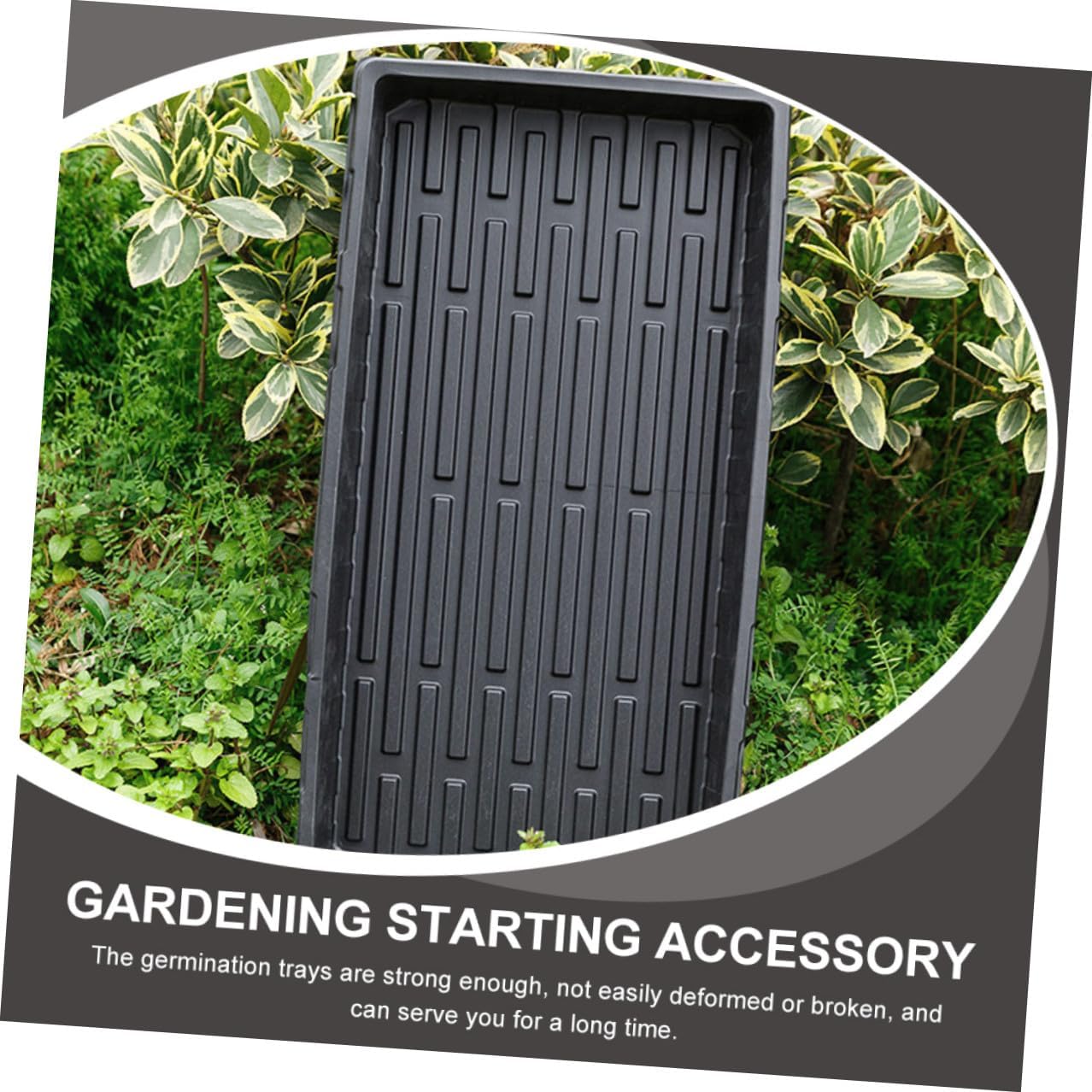 3pcs Thickened Black Plastic Plant Nursery Trays 1.8mm Germination Starter Trays for Indoor Vegetable Seedling Growing and Sprouting