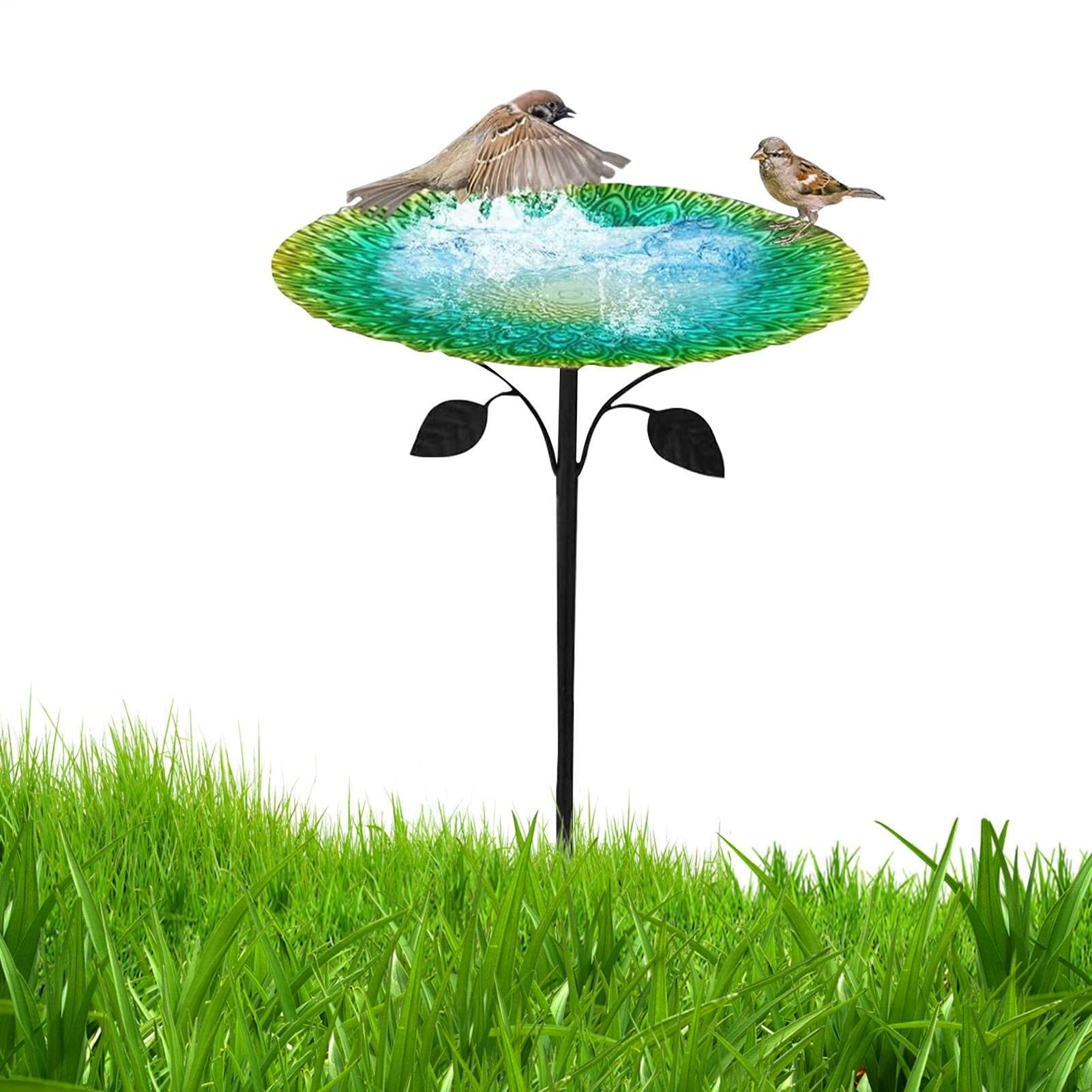 Bain d'oiseaux contre la chaleur pour abreuver les petits colibris