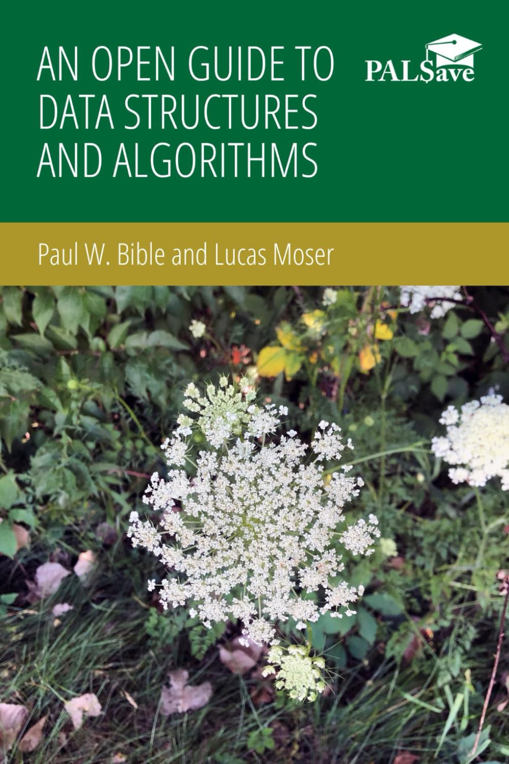 An Open Guide to Data Structures and Algorithms: 9781956390247 ...