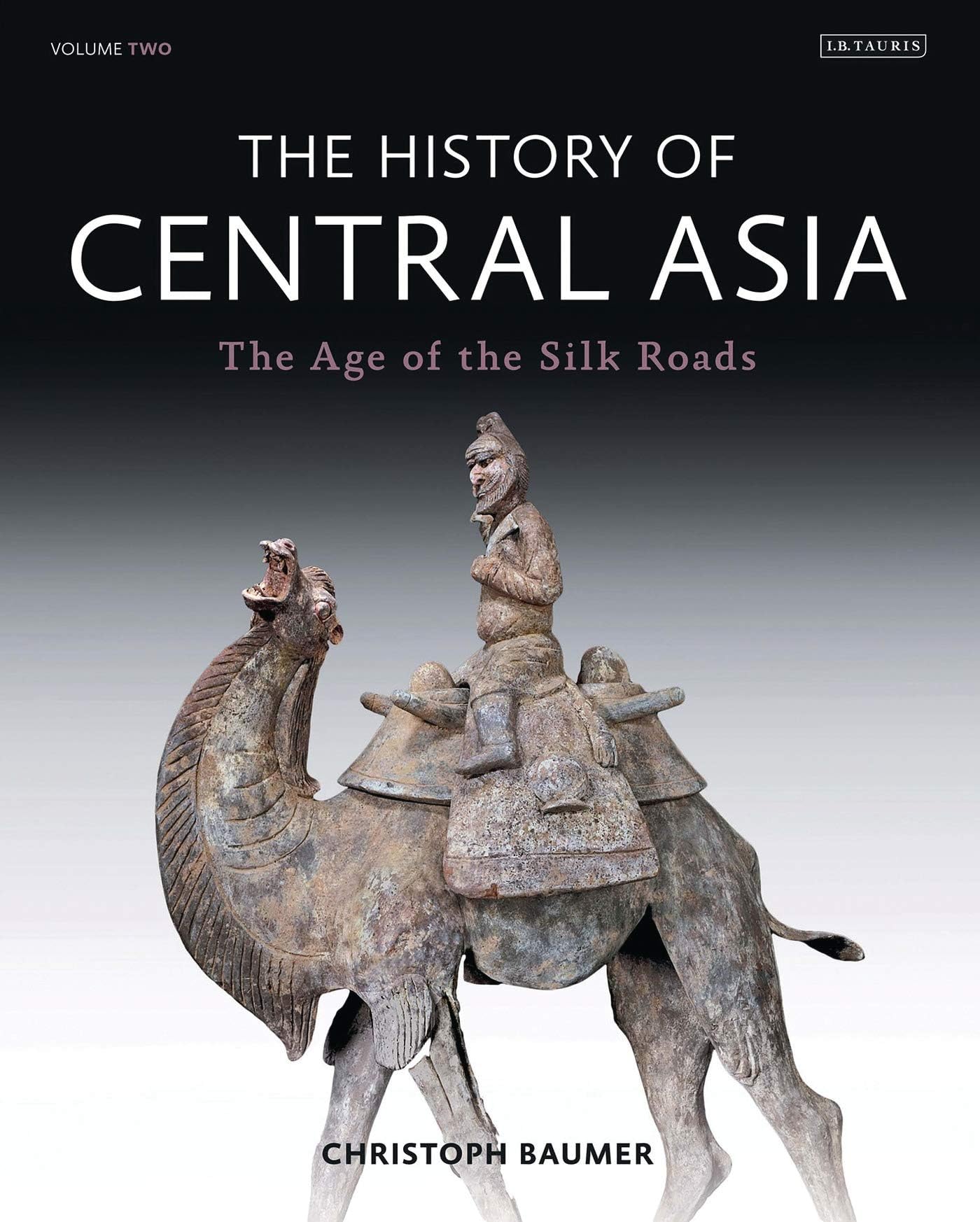 Bloomsbury The History of Central Asia: The Age of the Silk Roads