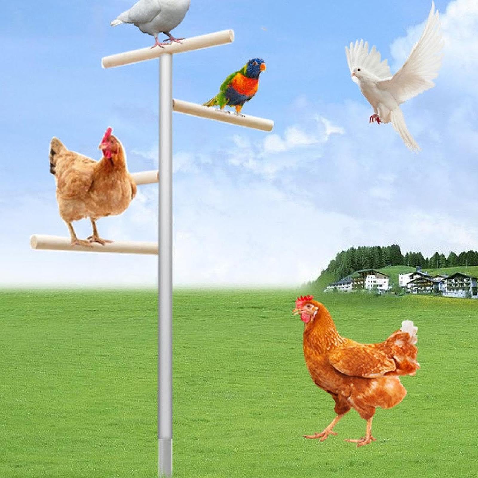 Criadora de guacamayos para Pollitos, gallinas Grandes, Perchas para Pollos, Barra de Descanso, Soporte para Madera para Pollitos, Percha, Soporte Entrenamiento para Aves, Experiencia