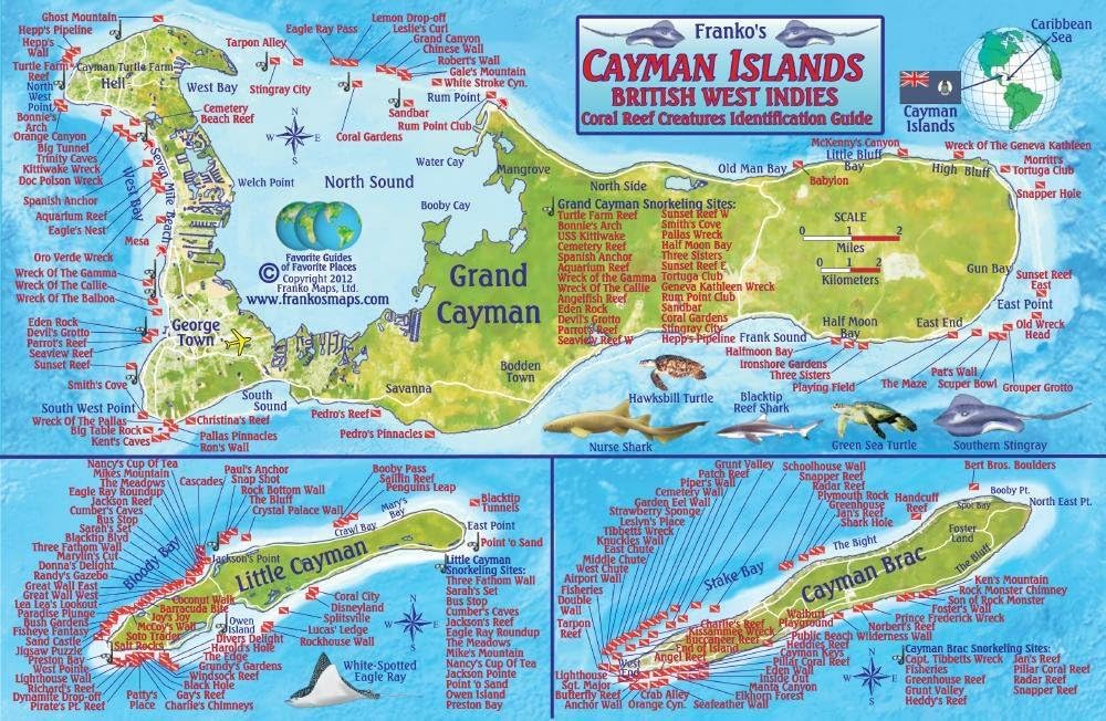 Cayman Islands Dive Map & Reef Creatures Guide Franko Maps Laminated Fish Card