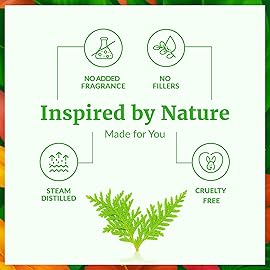 SVA Thuja Essential Oil - 1 Fl Oz - 100% Natural Thuja Oil - for Diffuser, Hair Care, Face, Skin Care, Aromatherapy, Scalp and Body Massage, Soap and Candle Making - with Dropper