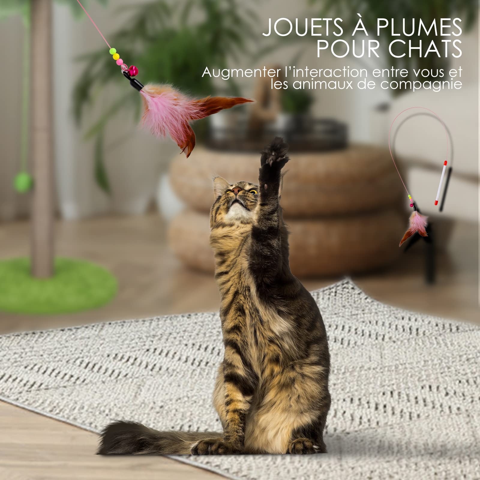 Zvonema Griffoir pour Chat, Arbre à Chat 85 CM, Griffoir Chats avec Corde de Sisal Natual d'Intérieur Palmier avec Balles en 1 Bâton à Plumes, Suspendues Interactives pour Petits & Grands Chats