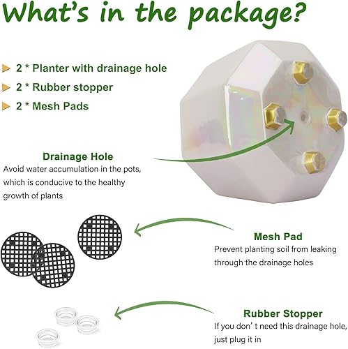 Miniatura 6 de Maceta de cerámica de 6 pulgadas + 4 pulgadas para plantas de interior, macetas con orificio de drenaje, maceta minimalista moderna para suculentas