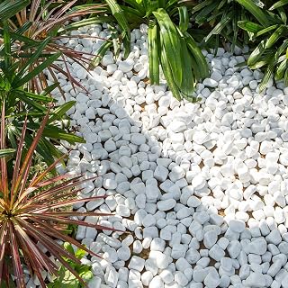 Polar white stone Pebbles Decorative Gravels Aggregates Natural tumbled smooth stones Mix size 20-40mm, 5 kg