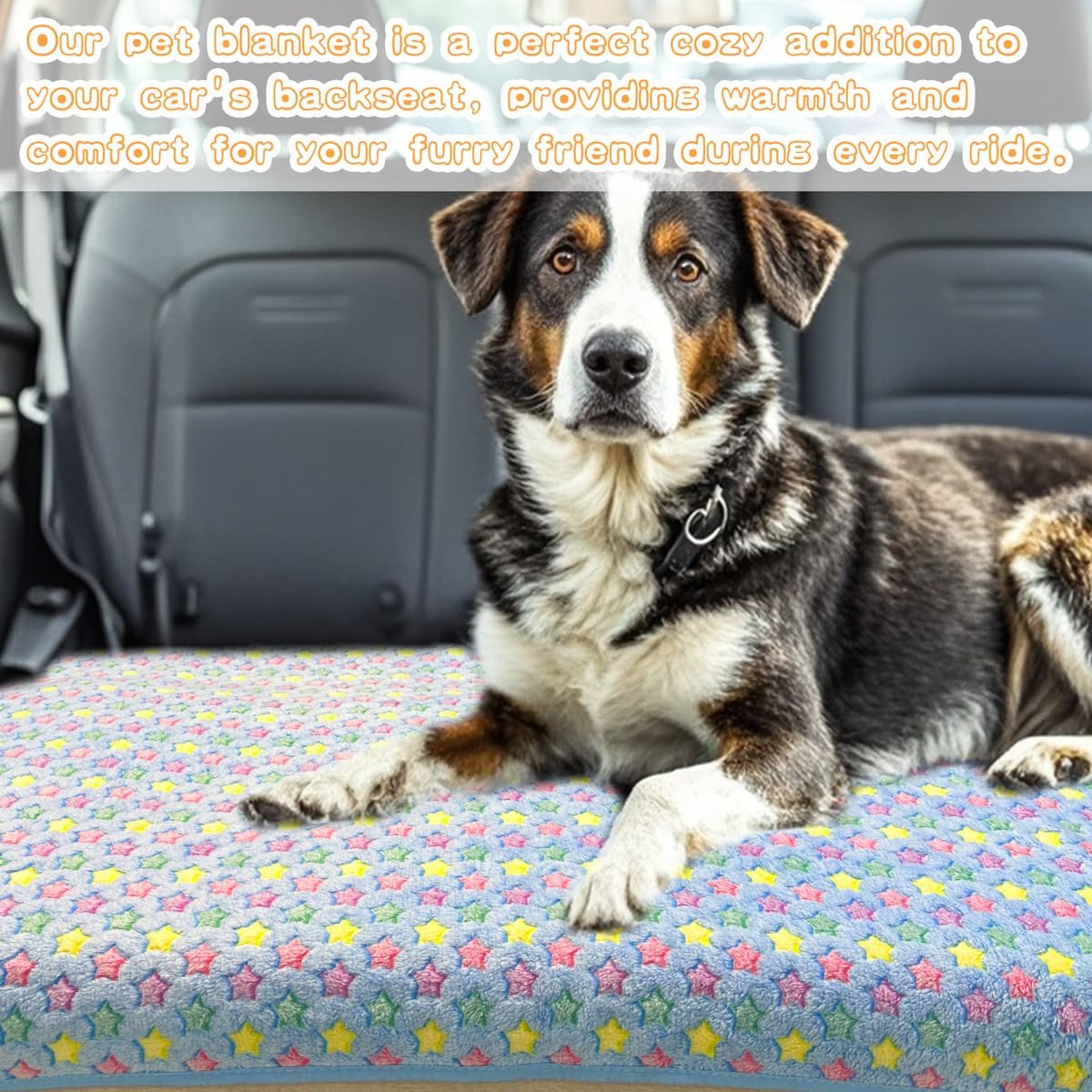 Dog Blankets for Small Medium Dogs Washable, 3 Pack Pet Blanket Washable 30" x 20", Fuzzy Soft Puppy Throw Cover for Kennel Crate Bed - Image 6