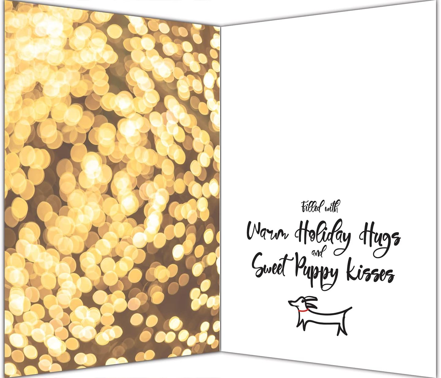 Glory To Dog Home for Christmas Card Boxed Set of 12 Cards and Greeting Card Envelopes