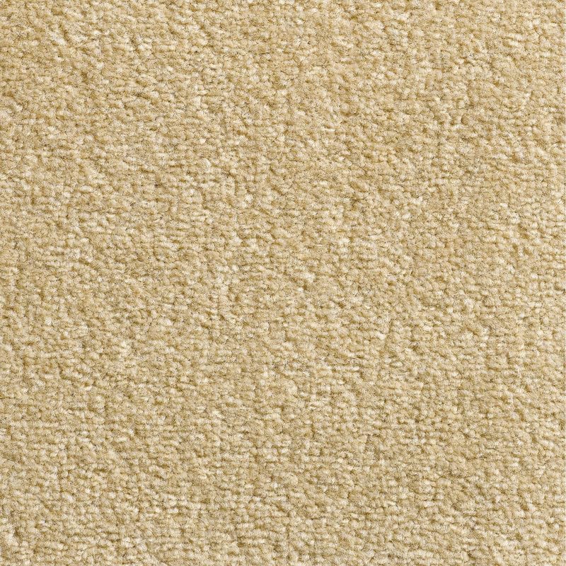 Tuda Carpets | Revolution 8.5mm Saxony Pile Carpet with Action Back, 10.5mm Total Height | Manila (72) - 5m x 1.5m (16ft4" x 4ft11")