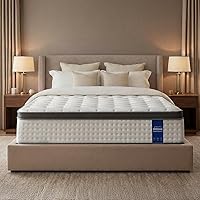 DINBooonLUX 12 Inch Queen Hybrid Mattress in a Box - Gel Memory Foam, Pocket Coils, Motion Isolation, Medium Firm, CertiPUR-US