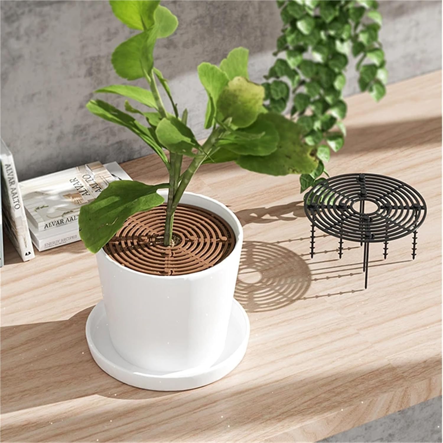 Plant Pot Cover 4PCS Plant Pot Soil Guard with Nails Grid Flower Cover Baby Safety Mouse Protector Repel Cats for Outdoor Garden(Brown Round 52cm)
