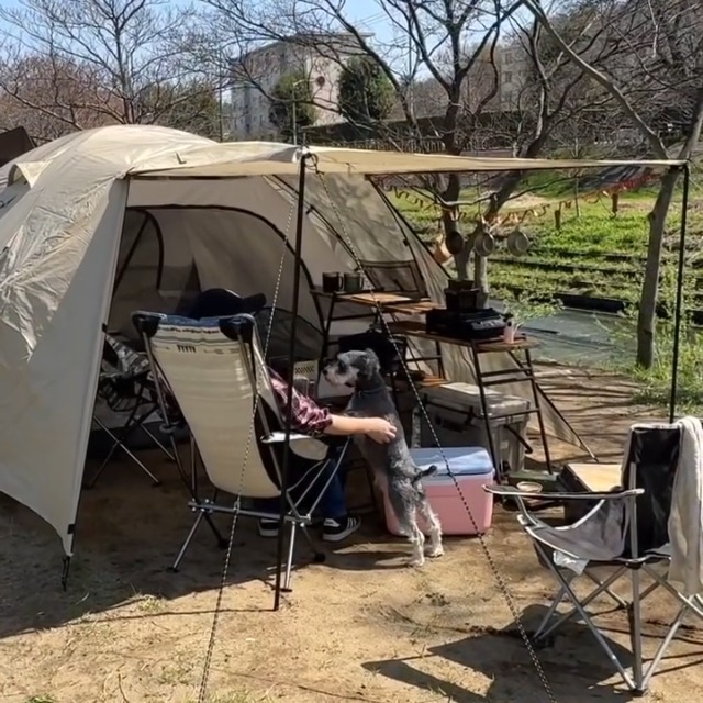 パーティードームテント