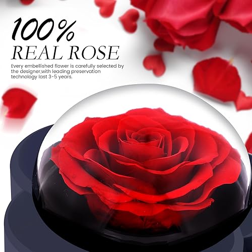Miniatura 2 de Rosa preservada con collar de corazón, regalo de flor eterna para mamá, esposa, novia, mujer, perfecto para el día de San Valentín, cumpleaños,