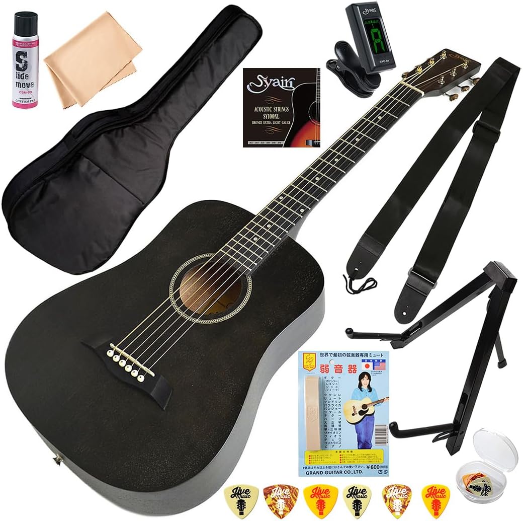 S-Yairi アコースティックギター S-2 アコースティックギター 初心者