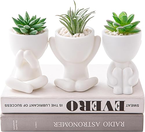 Vista 12 de HEYO-YEPY 3 piezas de bonitas plantas artificiales para decoración de oficina para mujeres y hombres, decoración estética de escritorio para oficina