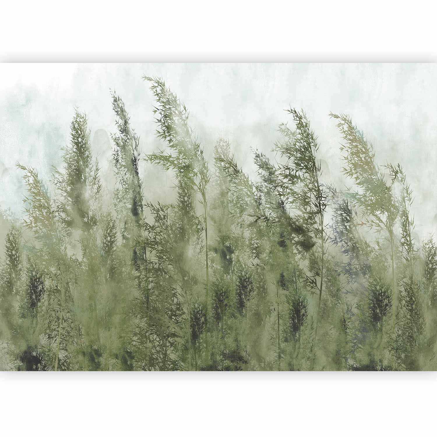murando - Photo Wallpaper Pampas Grass 250x175 cm / 99"x69"Non-Woven Premium Art Print Fleece Wall Mural Decoration Poster Picture Design Modern - Nature Meadow White Green b-A-0724-a-d โ image 1