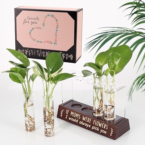 Miniatura 2 de Regalos para mamá de hija hijo, terrarios de maceta, agradecimiento, regalos de agradecimiento para madre, los mejores regalos para cumpleaños,