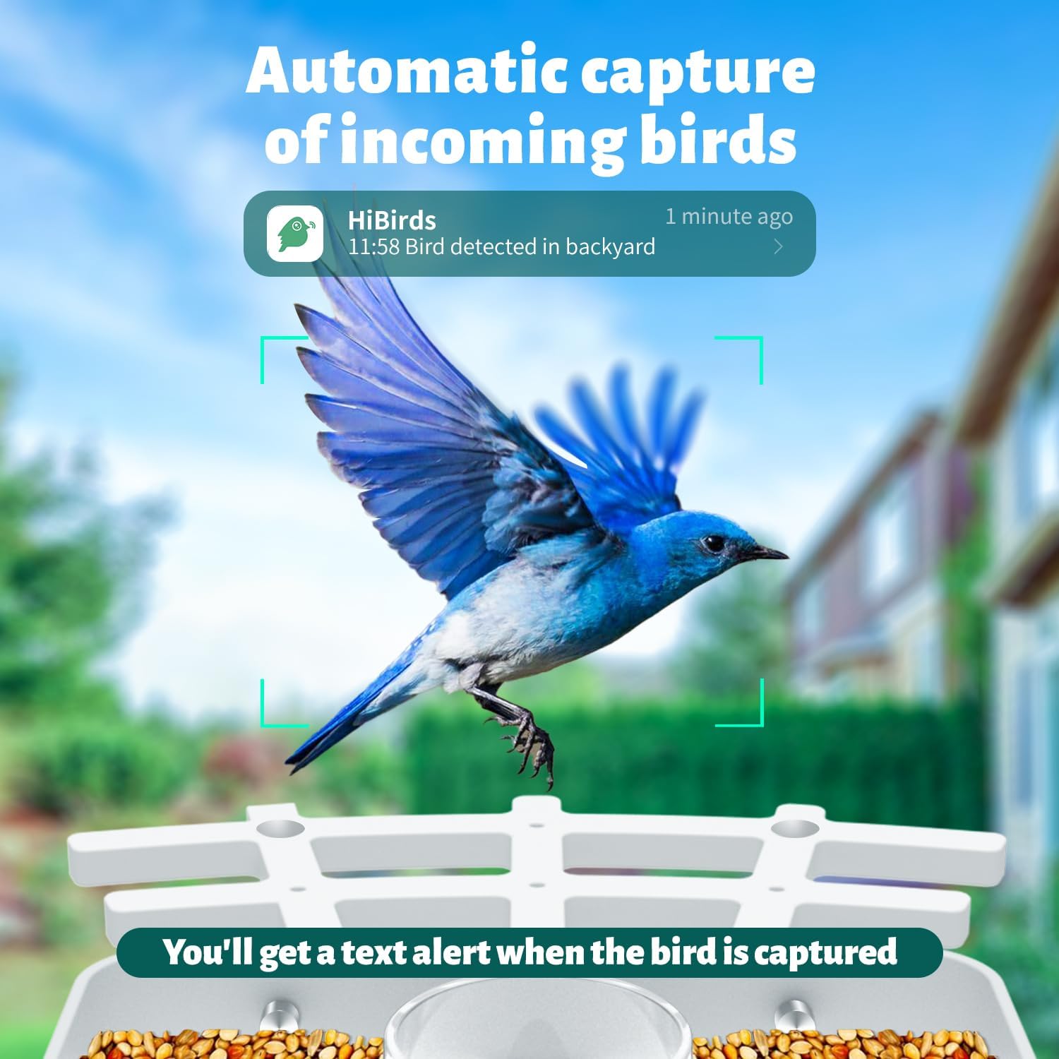 Smart Bird Feeder Camera AI Identify 8000+ Birds,Auto Capture Videos & APP Notify Video Camera for Bird Lovers-Ideal Gift for Family
