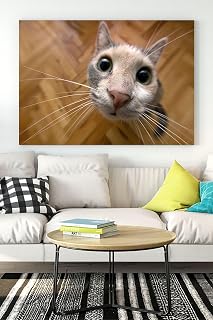Postermanya (pster16508) Kedi Eğlenceli Mizahi Kanvas Tablo 4 50 x 70