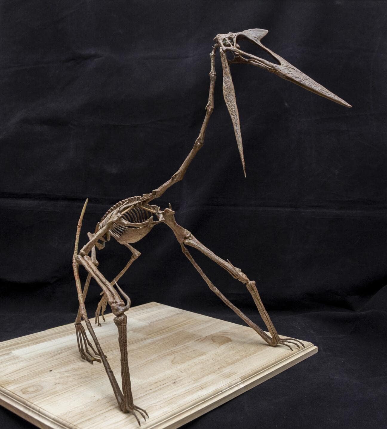 VWUVWU Quetzalcoatlus Skeleton Figure Pterosauria Dinosaur Resin Animal Model Collector GK Decor Gift for Adult